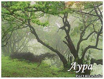 Мультимедиа